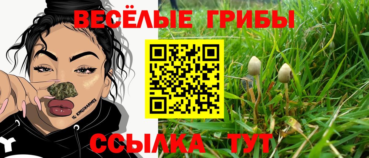 Кандалакша  Галлюциногенные грибы MAGIC MUSHROOMS  купить наркотики цена  Вход с VPN 