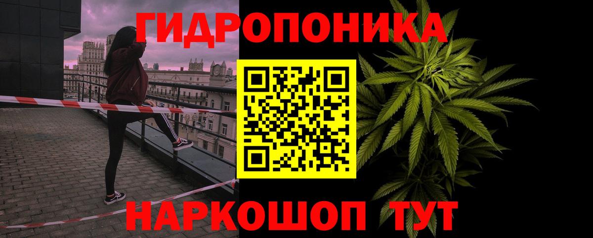 Бошки марихуана индика  Бошки Шишки Bruce Banner  Конопля индика  Вход с VPN  Кандалакша 